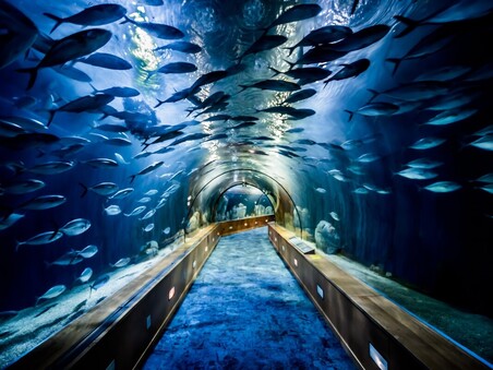 Jenkinsons Aquarium